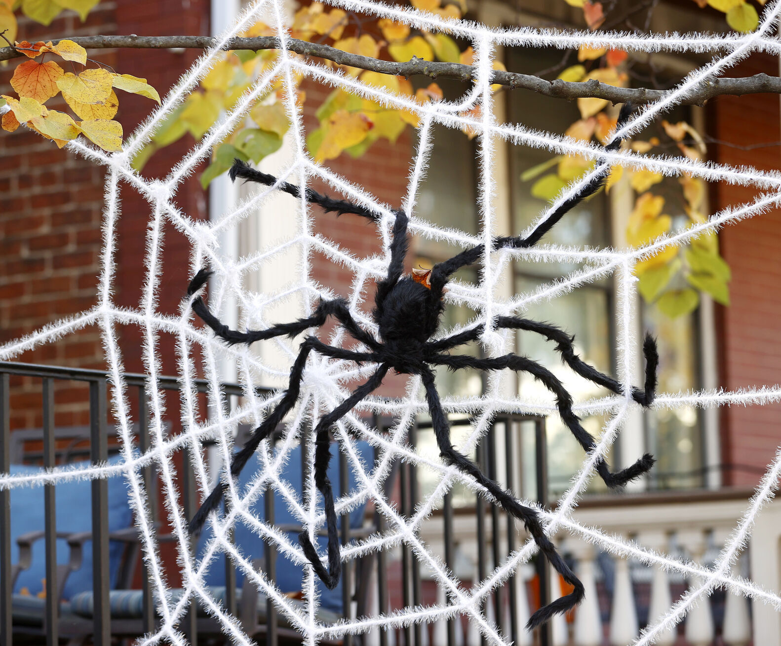 20221026_MET_HALLOWEEN_AWE10